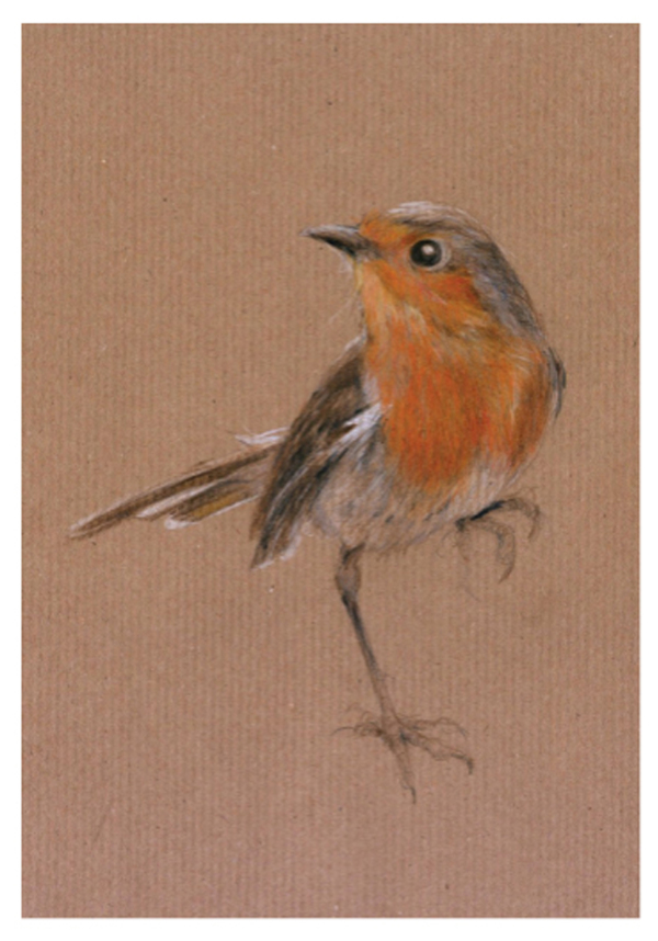 Rotkehlchen 21-09-20