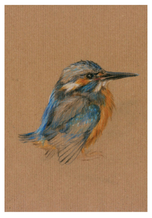 Eisvogel 23/24-09-20